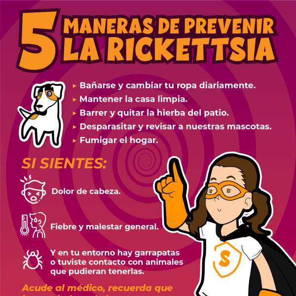Detectar a tiempo y limpiar el entorno puede salvar vidas ante la rickettsiosis
